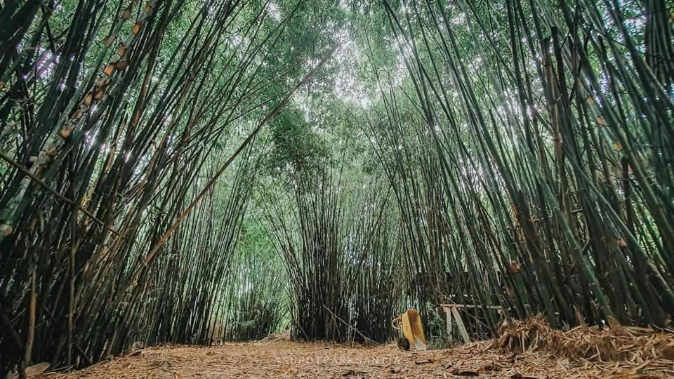 Ya Teng Homestay Ban Tha Sai Exteriér fotografie