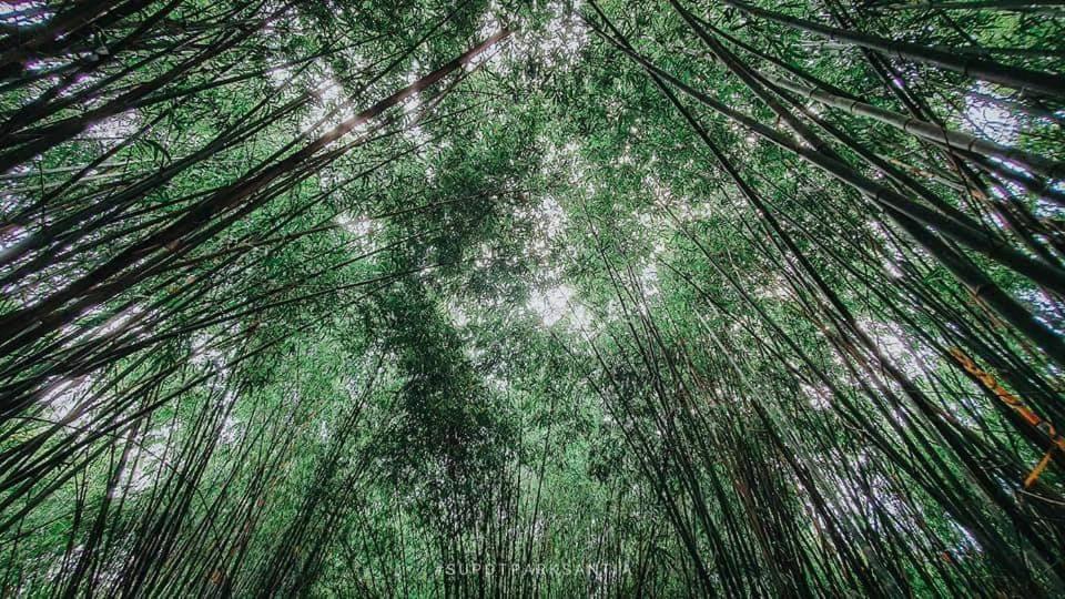 Ya Teng Homestay Ban Tha Sai Exteriér fotografie